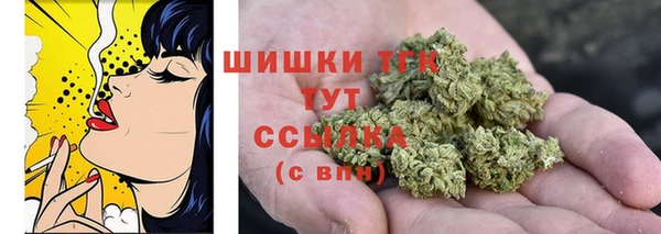 сатива Михайлов