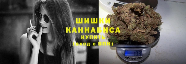 соль ск Надым