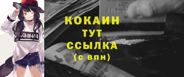 сатива Михайлов