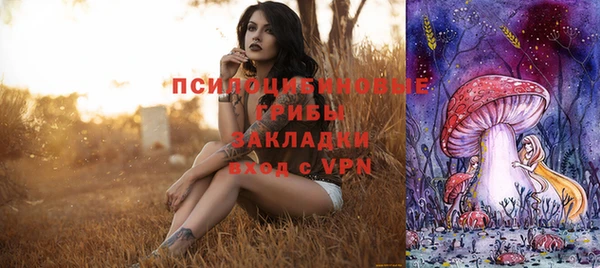 соль ск Надым