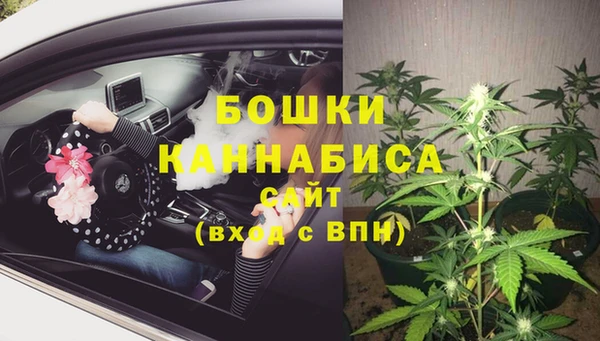мдпв Навашино