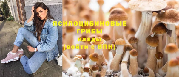 мдпв Навашино
