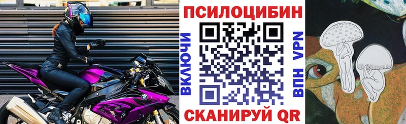Псилоцибиновые грибы мицелий  Новомичуринск 