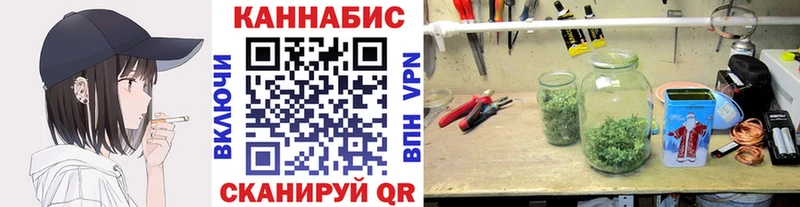 Марихуана сатива  Новомичуринск 